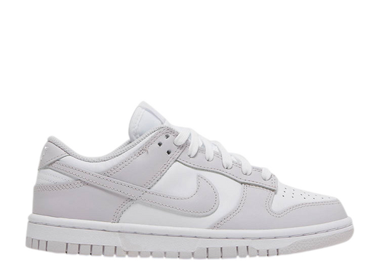 Nike Dunk Low Venice (W)